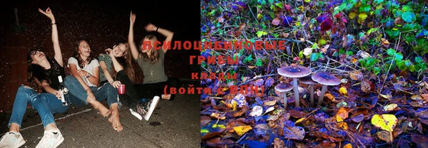 крисы Балабаново