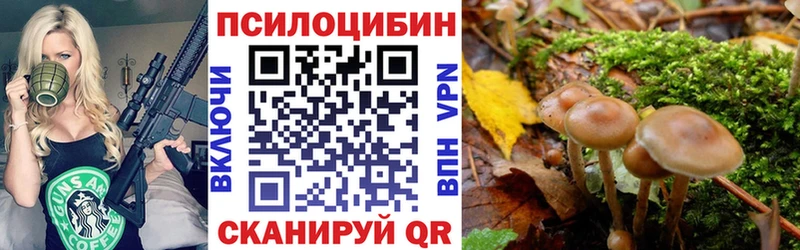 Псилоцибиновые грибы мицелий  как найти   Горячий Ключ 